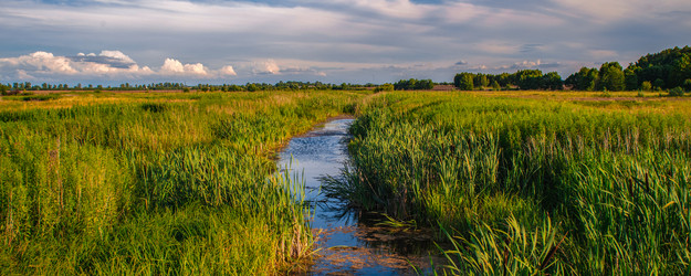 Similar image 22066406