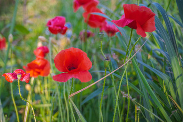 Similar image 22066407