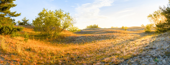 Similar image 22066408