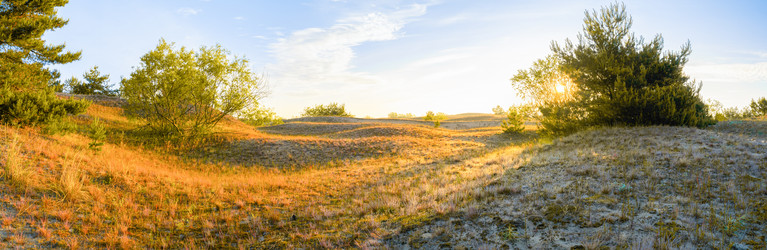 Similar image 22066409