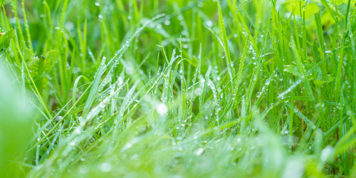 Similar image 22066684