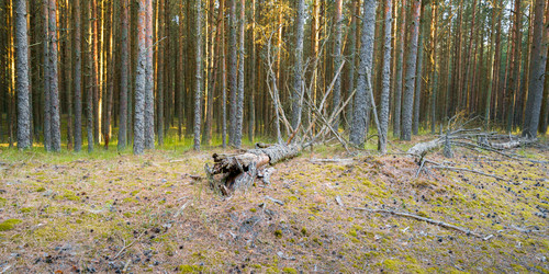 Similar image 22066685