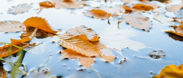 Similar image 22066691