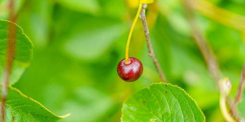 Similar image 22066697