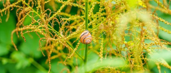 Similar image 22066698