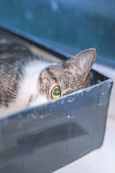 Similar image 22066700