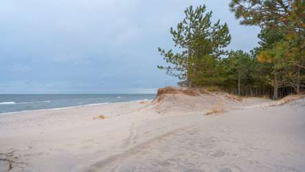 Similar image 22066701