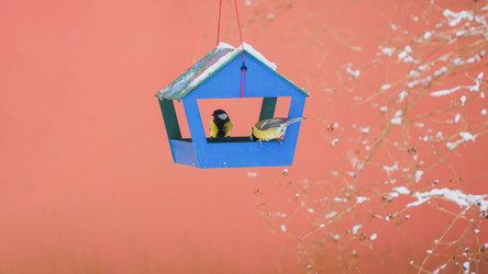 Similar image 22066703