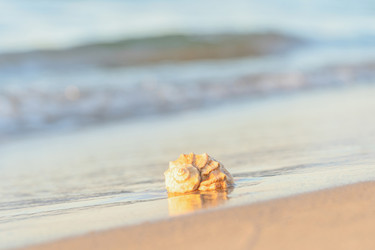 Similar image 22066704