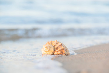 Similar image 22066709