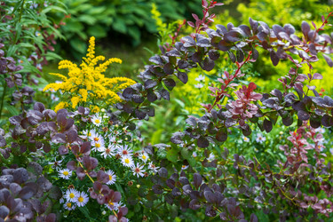 Similar image 22061987