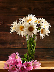 Similar image 22066521