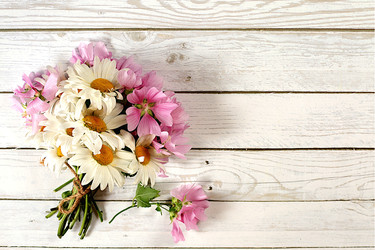 Similar image 22066522