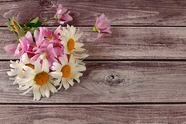 Similar image 22066523