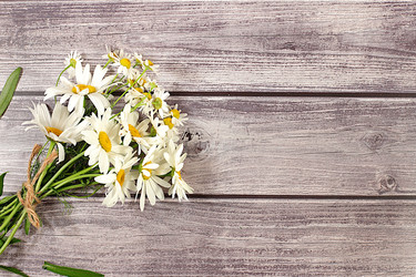 Similar image 22066525