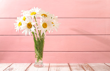 Similar image 22066526