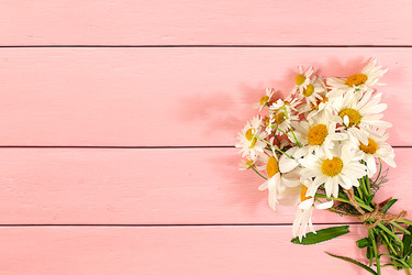 Similar image 22066527