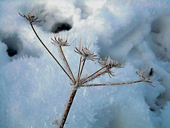 Similar image 22061993