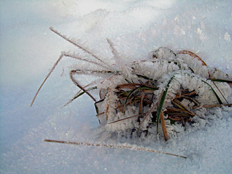 Similar image 22061994