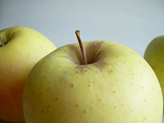 Similar image 22061996