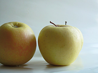 Similar image 22061998