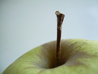 Similar image 22061999