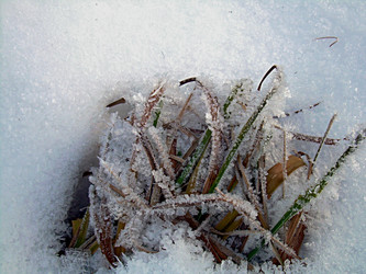 Similar image 22062000