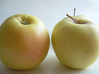 Similar image 22062005