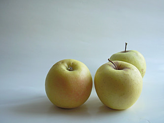 Similar image 22062006