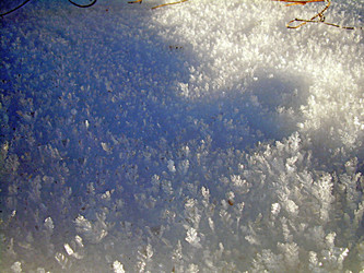 Similar image 22062007