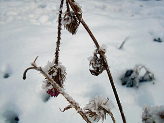 Similar image 22062015