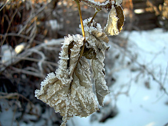 Similar image 22062016