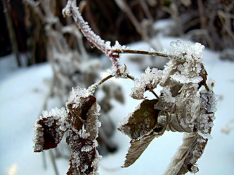 Similar image 22062018