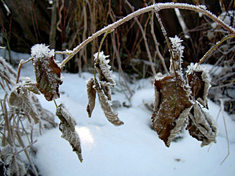 Similar image 22062019