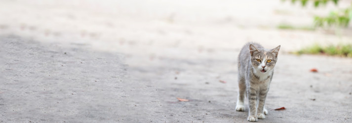 Similar image 22067683