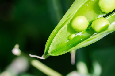 Similar image 22067685