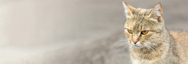 Similar image 22067686