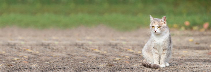 Similar image 22067688