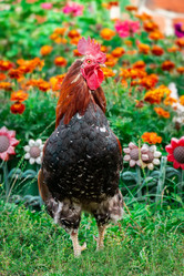 Similar image 22067693