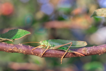 Similar image 22067694