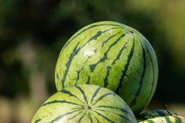 Similar image 22067698