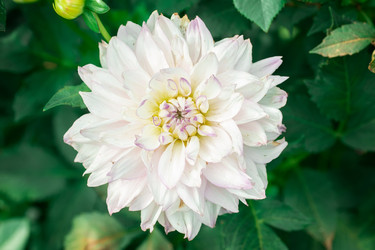 Similar image 22067699