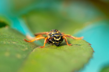 Similar image 22067700