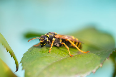 Similar image 22067702