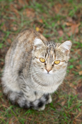 Similar image 22067704