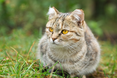 Similar image 22067706