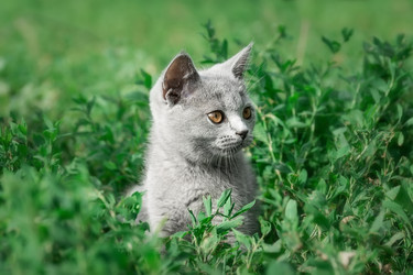 Similar image 22067712