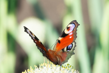 Similar image 22067919