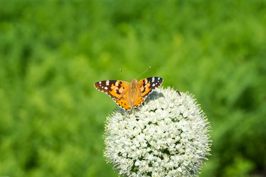 Similar image 22067920