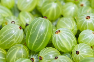 Similar image 22067924